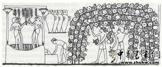 古埃及壁画 约公元前1400年 葡萄酒的生产展示